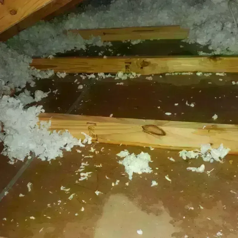 Attic Water Damage in Van Buren, AR