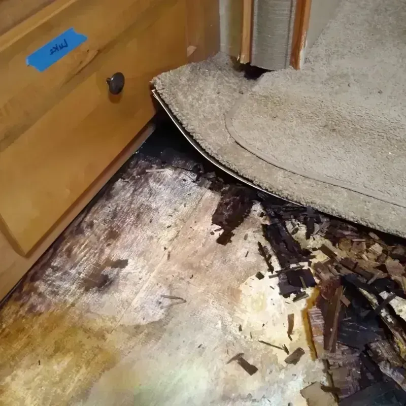 Wood Floor Water Damage in Van Buren, AR